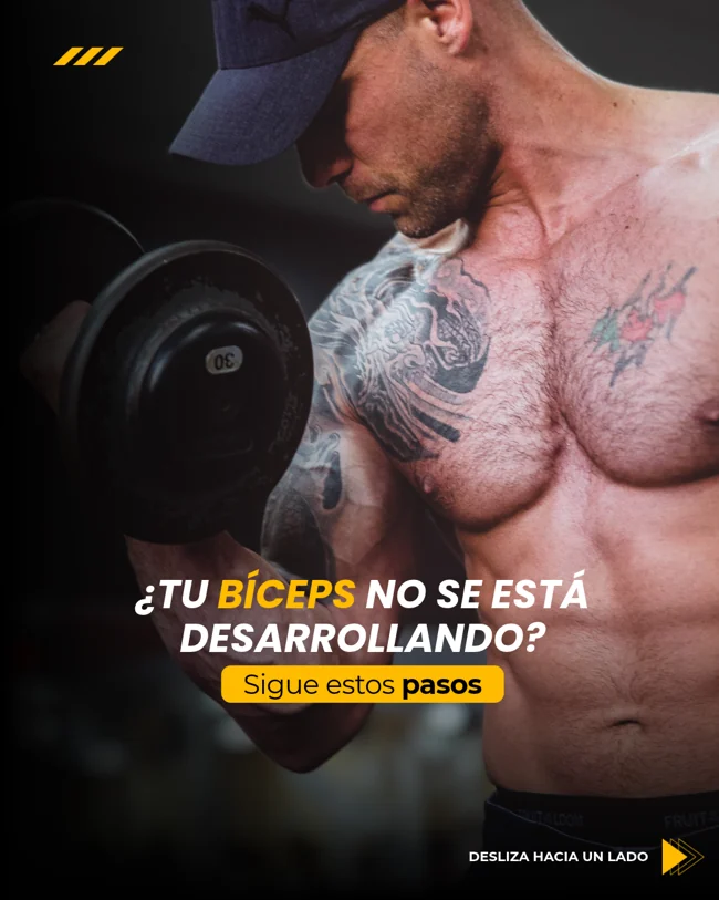Desarrollo de bíceps